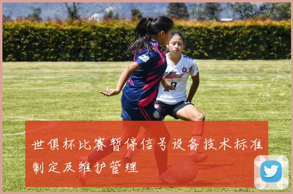 世俱杯比赛暂停信号设备技术标准制定及维护管理
