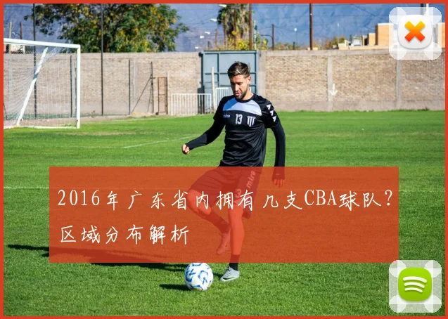 2016年广东省内拥有几支CBA球队?区域分布解析