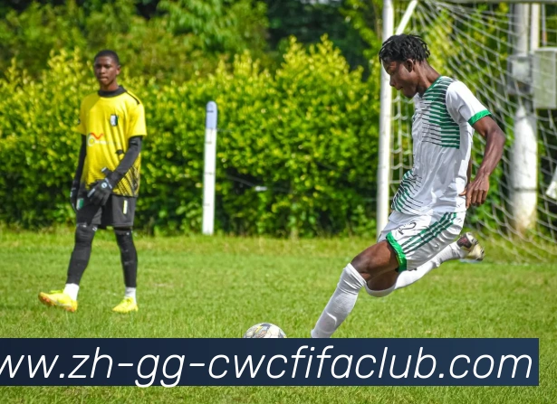 世界杯竞猜平台生态图