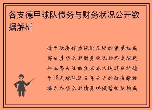 各支德甲球队债务与财务状况公开数据解析